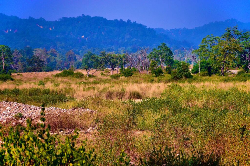 Places To Visit in Jim Corbett
