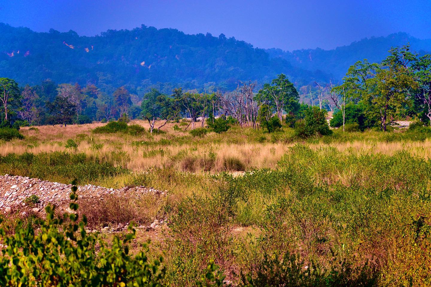 nearest places to visit jim corbett