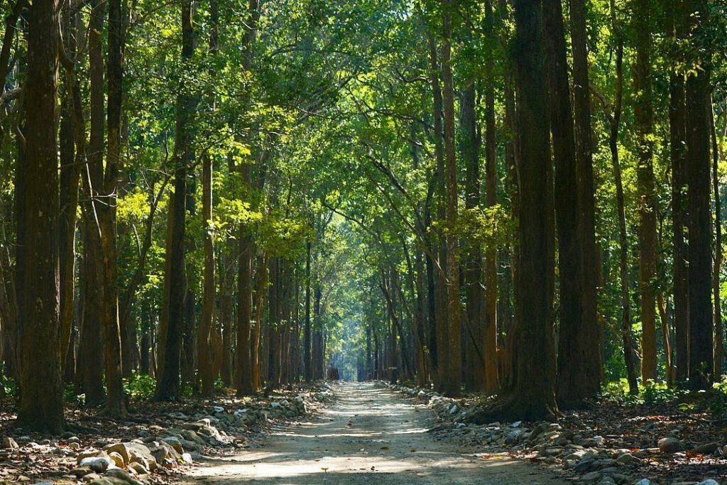 sitabani forest